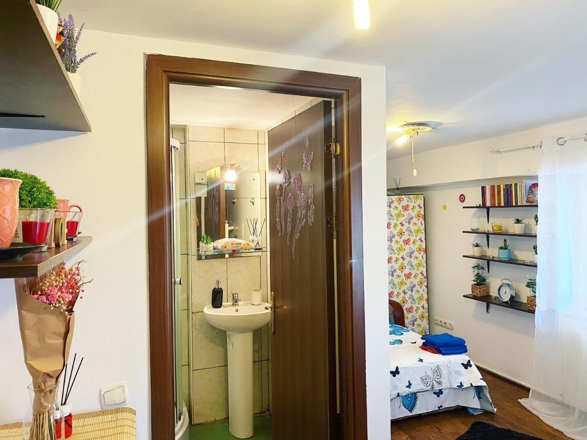 Casa Andu Daire Bükreş Dış mekan fotoğraf